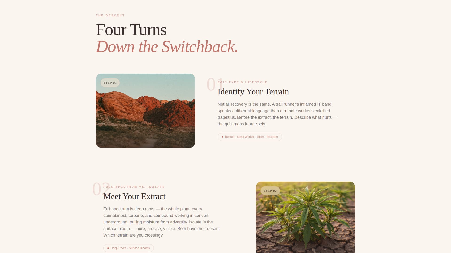 Tincture - Restorative Hemp Wellness Landing Page Template