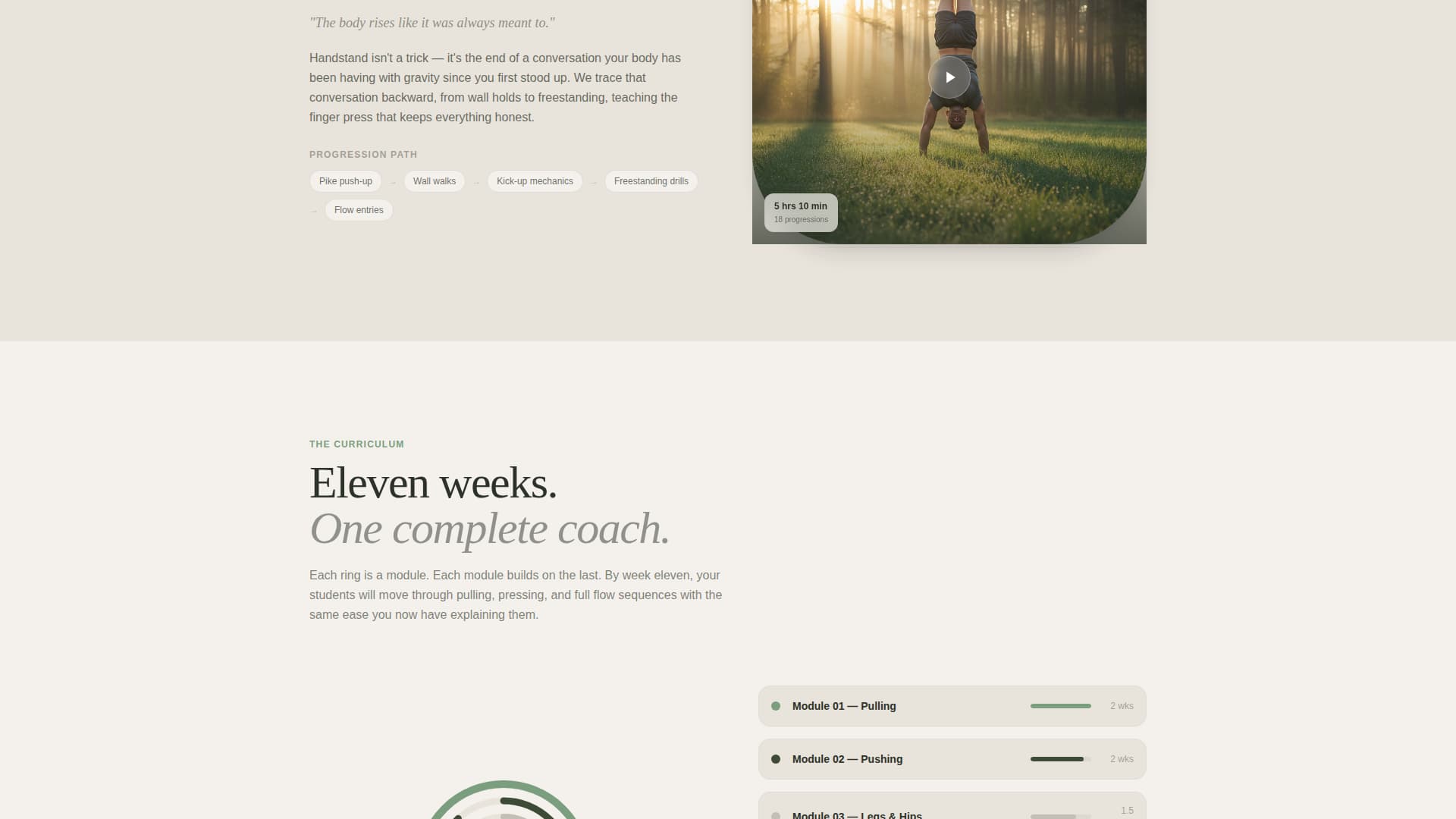 Flow - Empowering Calisthenics Landing Page Template