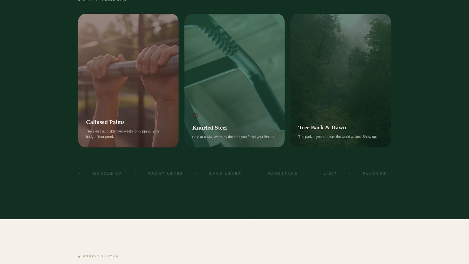 Bodyweight - Dynamic Calisthenics Landing Page Template