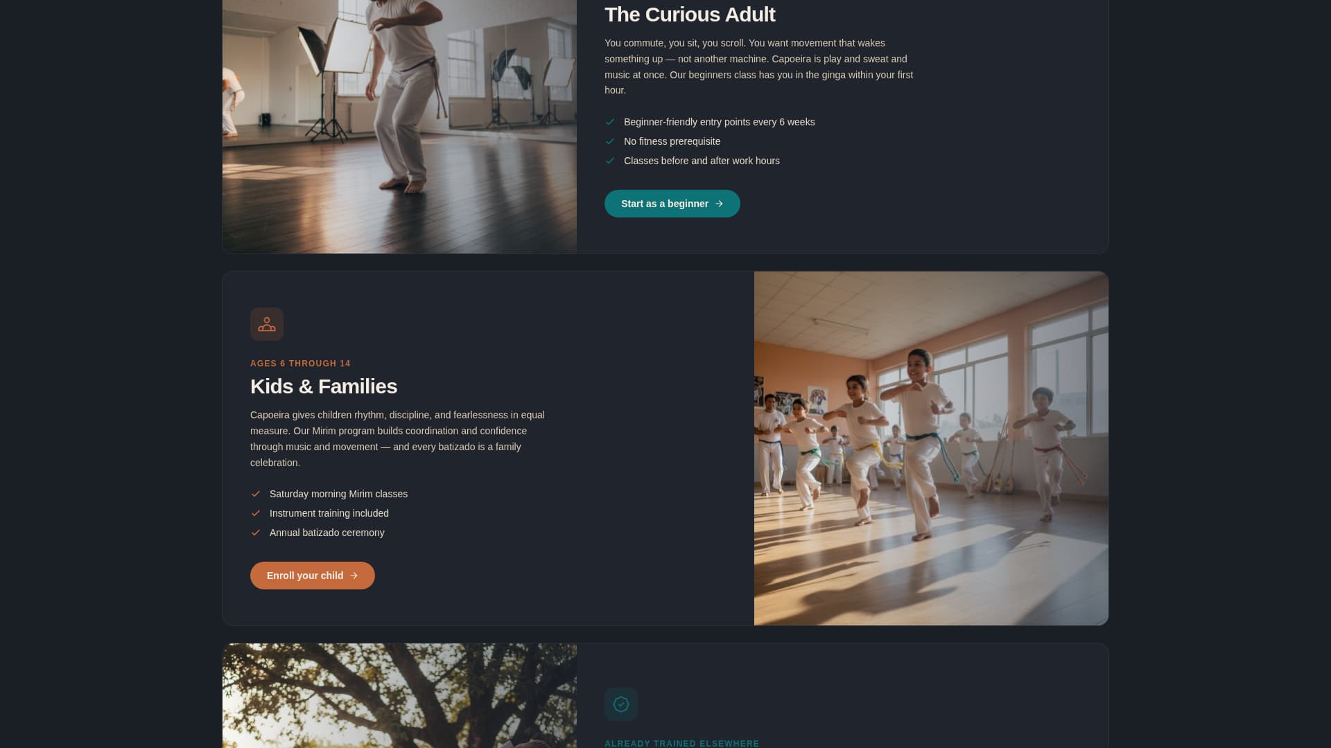 Ginga - Dynamic Capoeira Landing Page Template