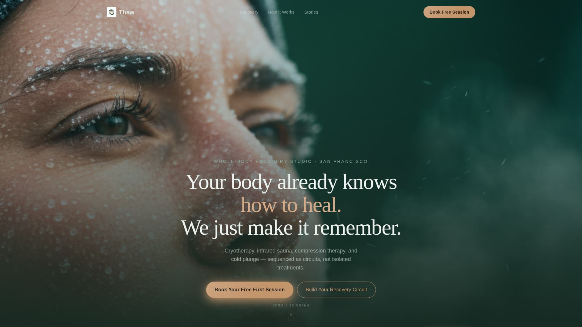 Thaw - Revitalizing Recovery Landing Page Template