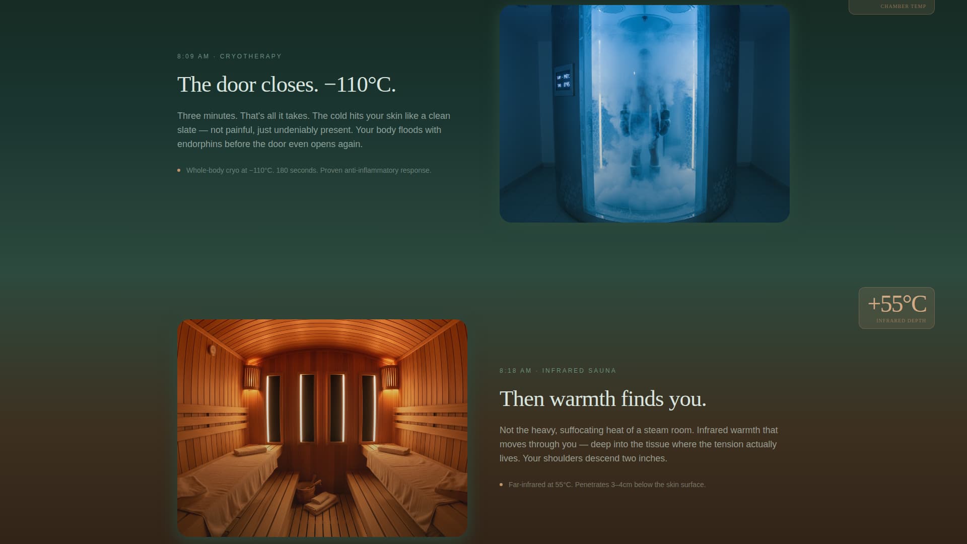 Thaw - Revitalizing Recovery Landing Page Template