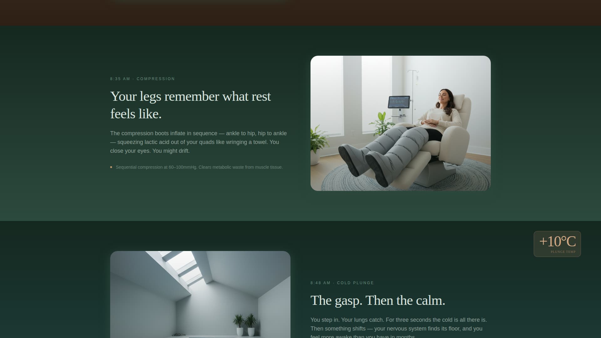 Thaw - Revitalizing Recovery Landing Page Template