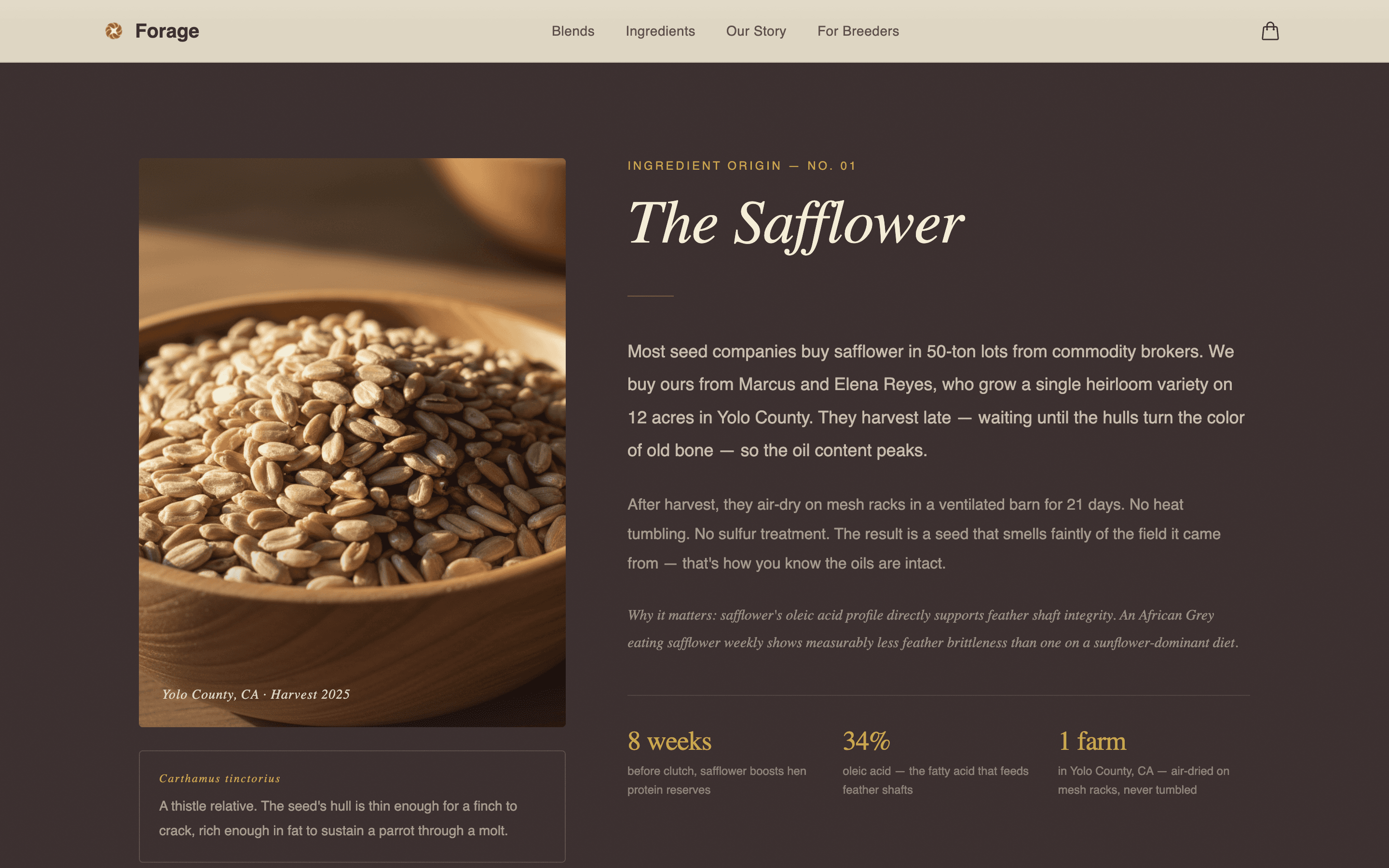 Forage - Artisan Birdfood Landing Page Template