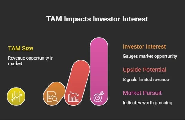 tam.webp