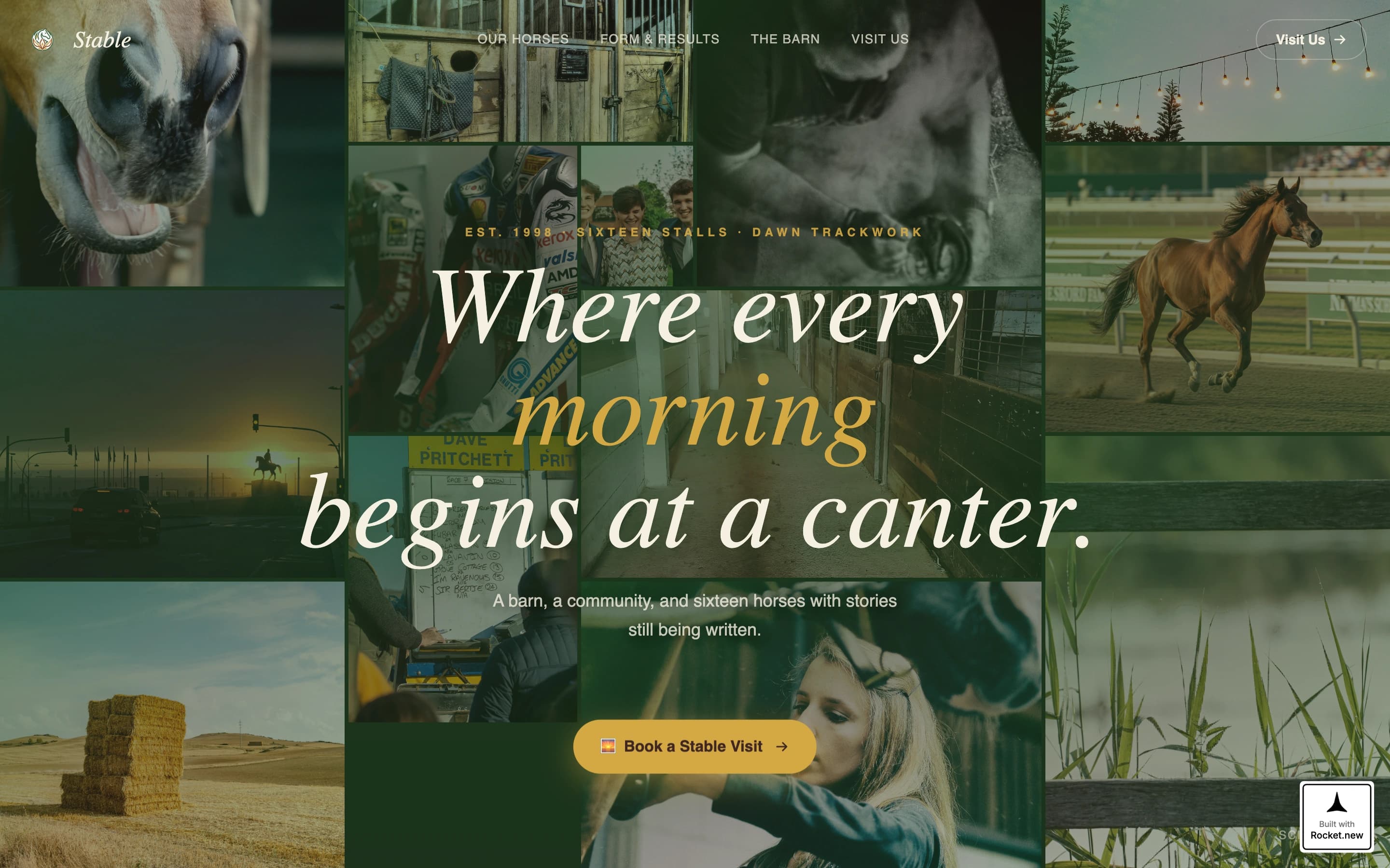 Stable - Thriving Equestrian Landing Page Template