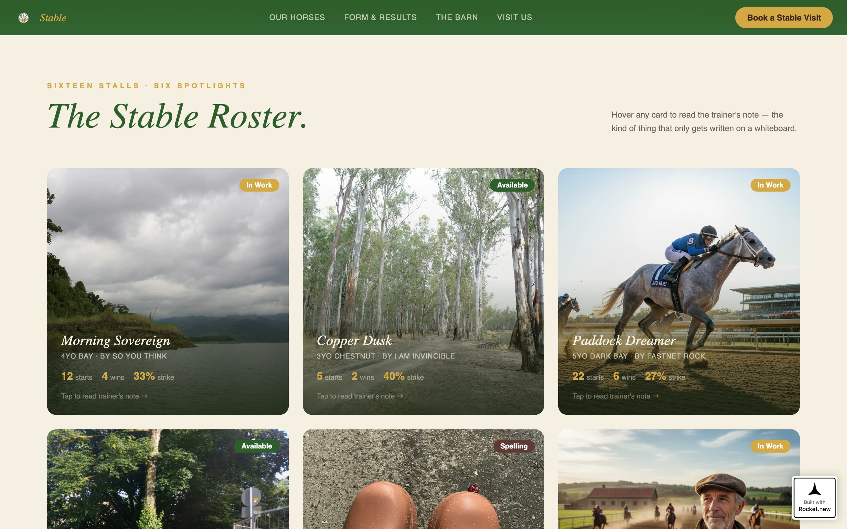 Stable - Thriving Equestrian Landing Page Template