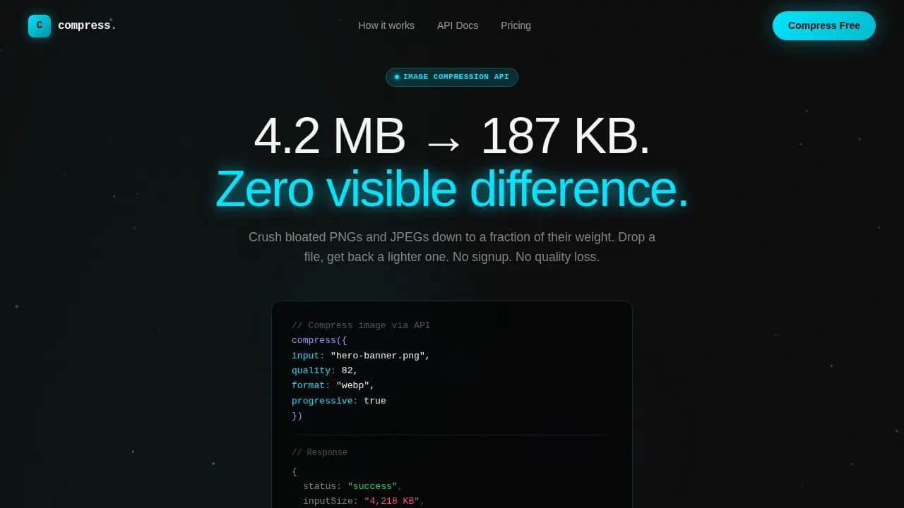 Micro-SaaS & Developer Tools Professional Website Template