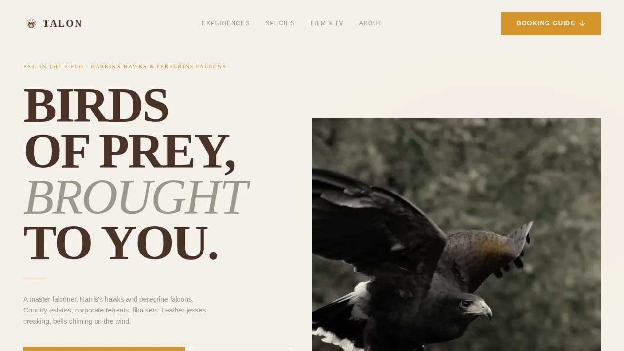 Talon - Expert Falconer Booking Landing Page Template