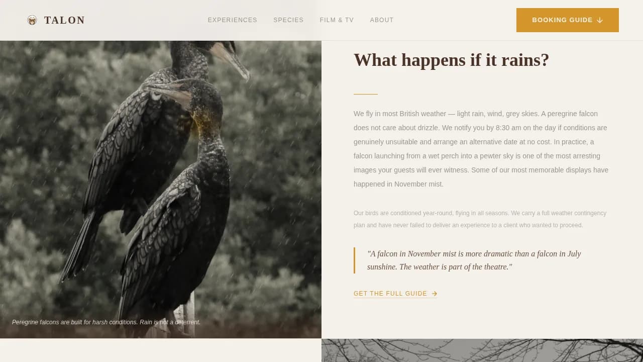 Talon - Expert Falconer Booking Landing Page Template