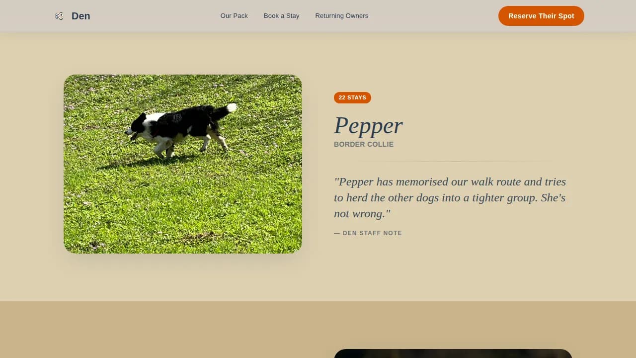 Pet Boarding & Daycare Booking Website Template