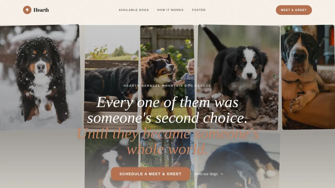 Dog Premium Booking Website Template