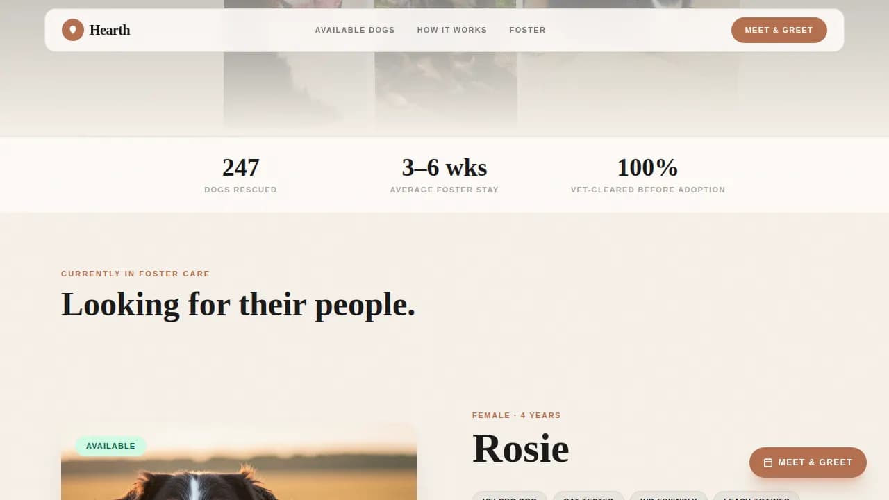 Dog Premium Booking Website Template