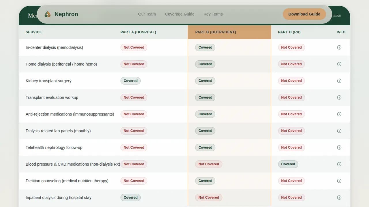 Nephrologist Comparison Website Template