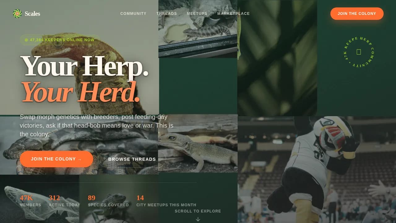Scales — Vibrant Reptile Community Landing Page Template