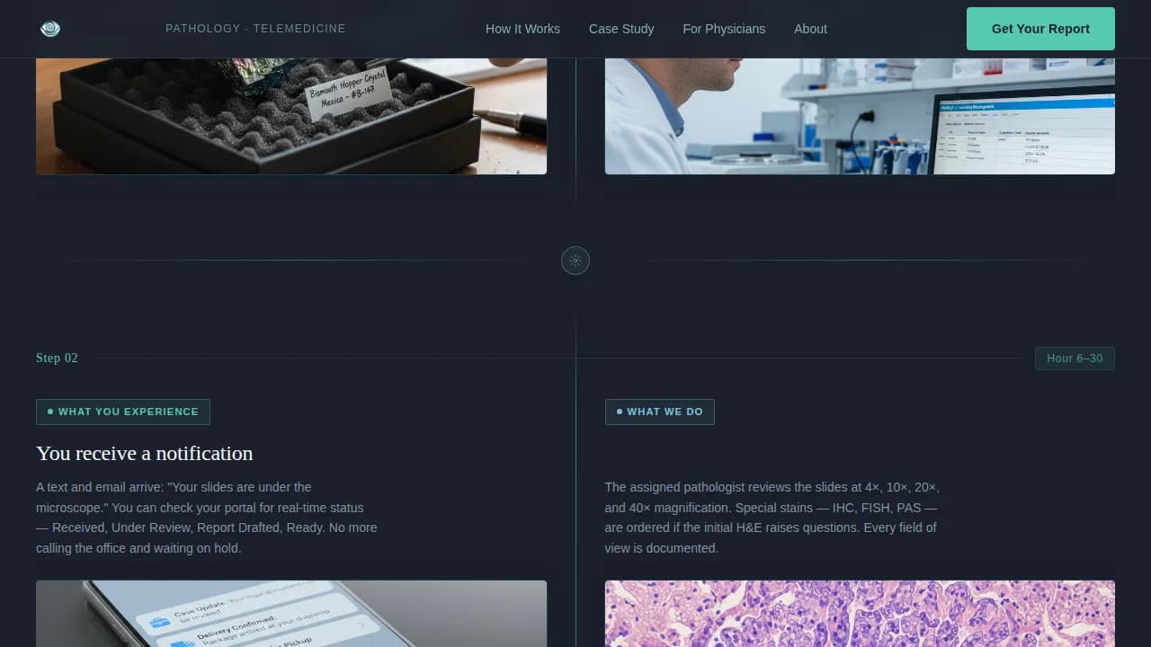 Pathology Medicine Professional Website Template