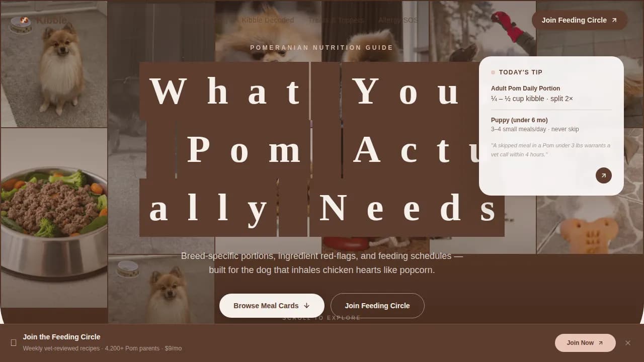 Pomeranian Blog Website Template
