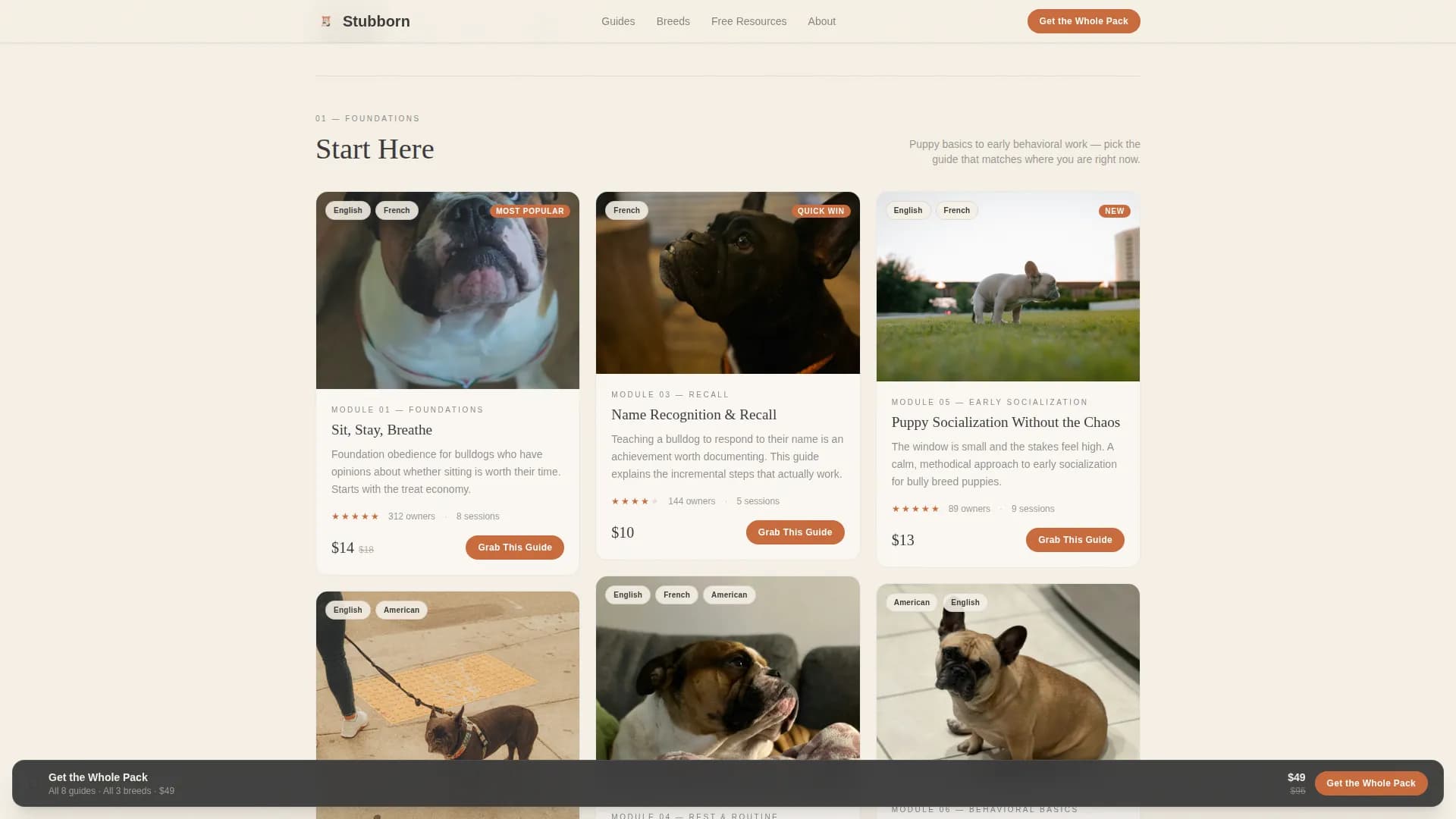 Dog Commercial Professional Website Template