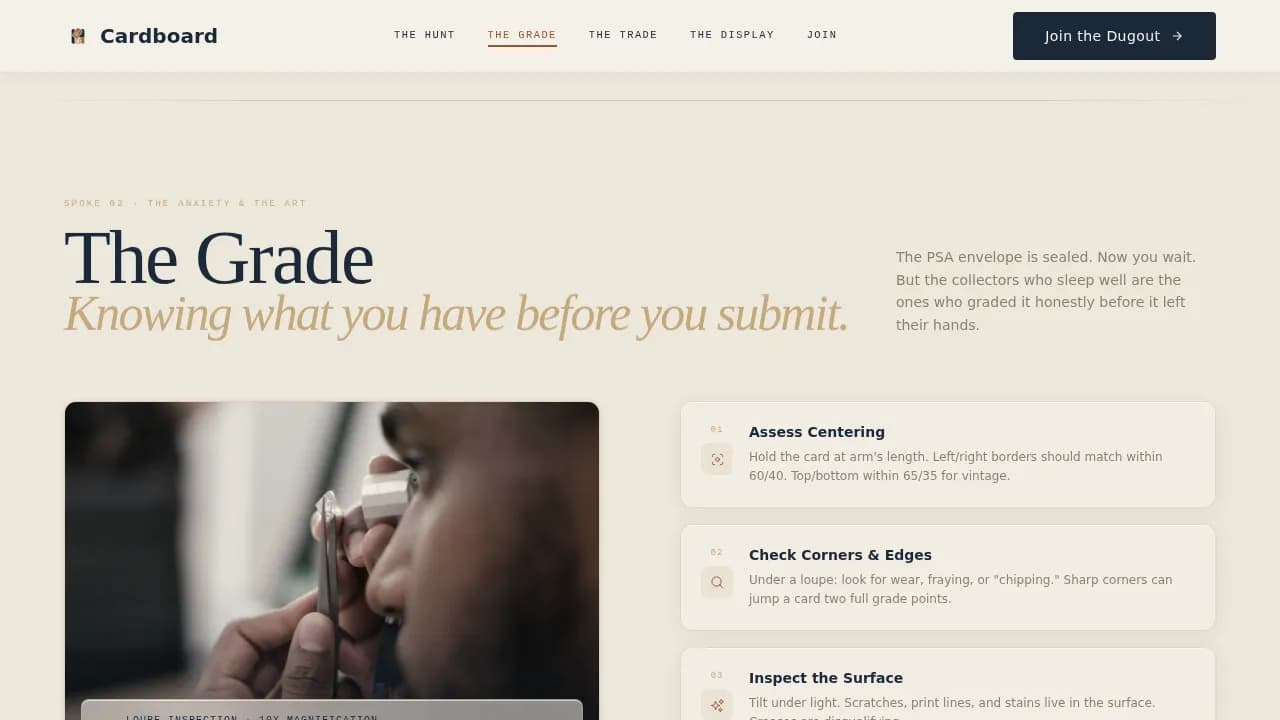Memorabilia — Expert Sports Collecting Landing Page Template