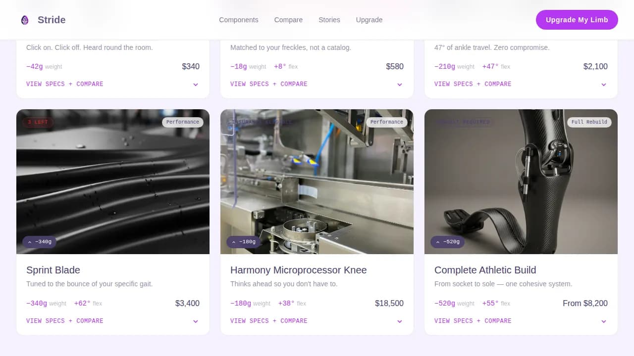 Local Brick & Mortar Professional Website Template