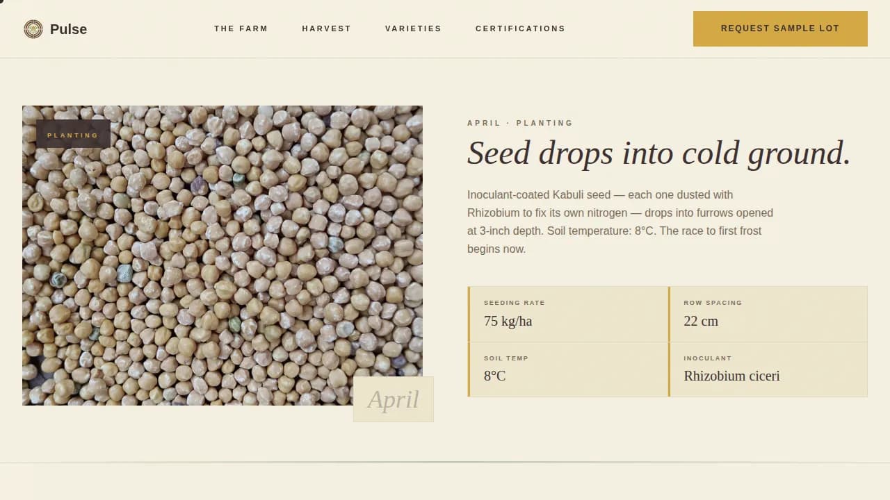 Crop & Grain Farming Professional Website Template