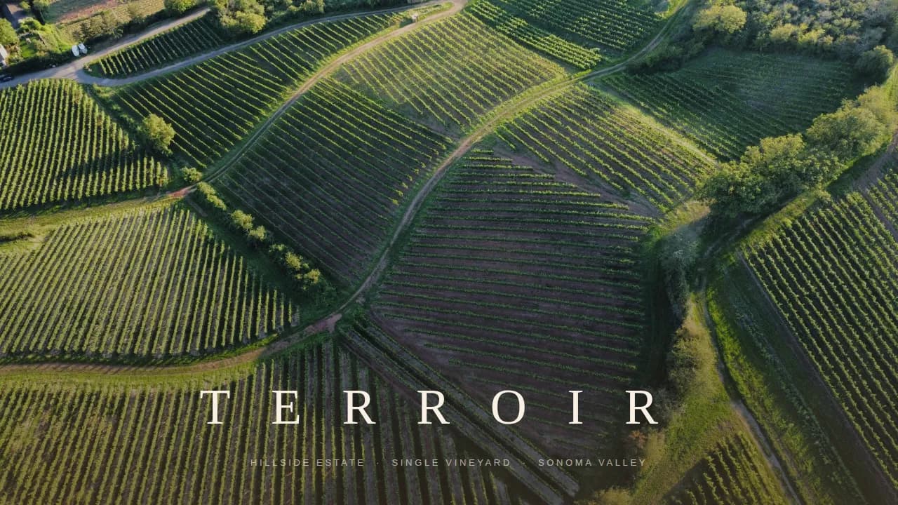 Vintage — Luxe Estate Winery Landing Page Template