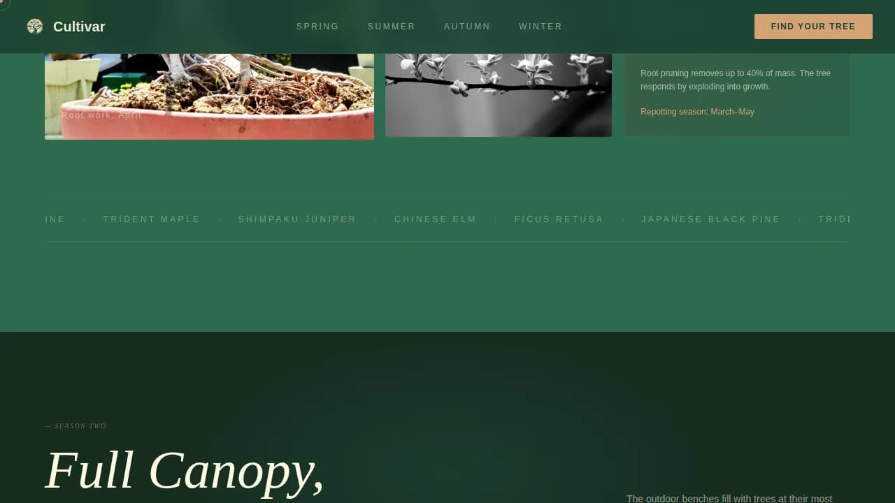 Bonsai — Heritage Living Sculpture Nursery Landing Page Template