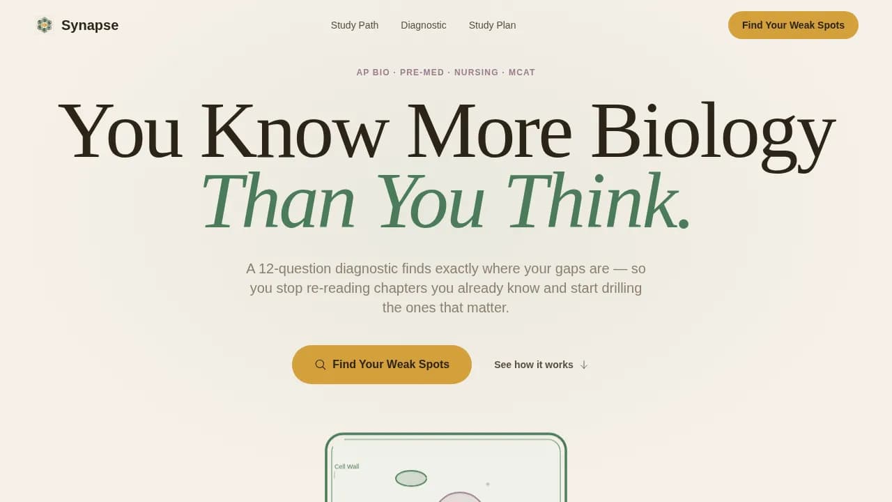 Biology Education Professional Website Template