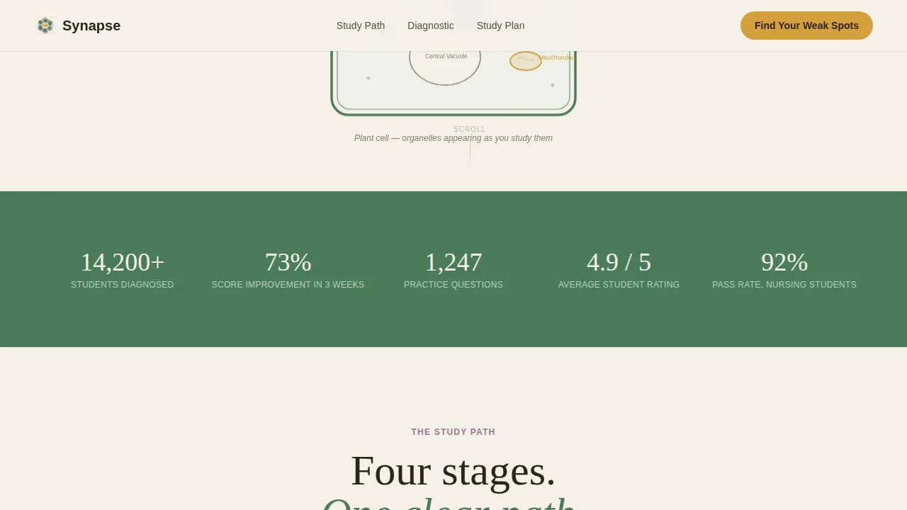 Biology Education Professional Website Template