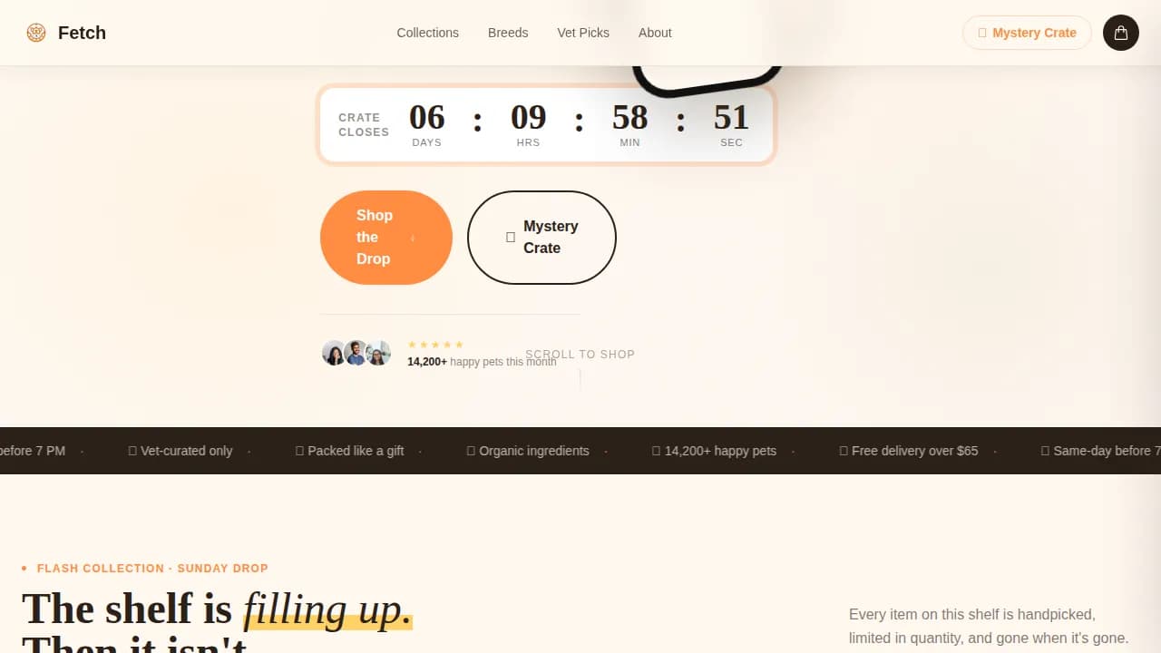 On-Demand Business Professional Website Template