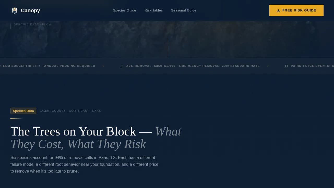 Paris Local Professional Website Template