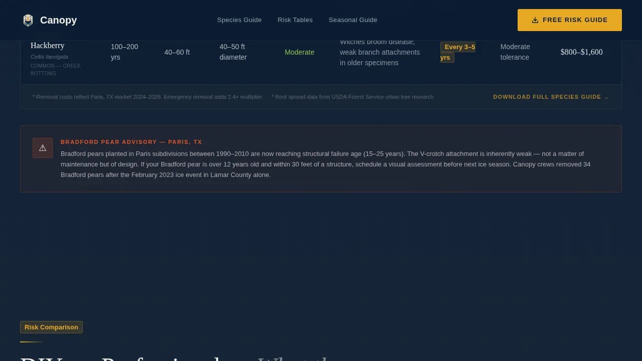 Paris Local Professional Website Template
