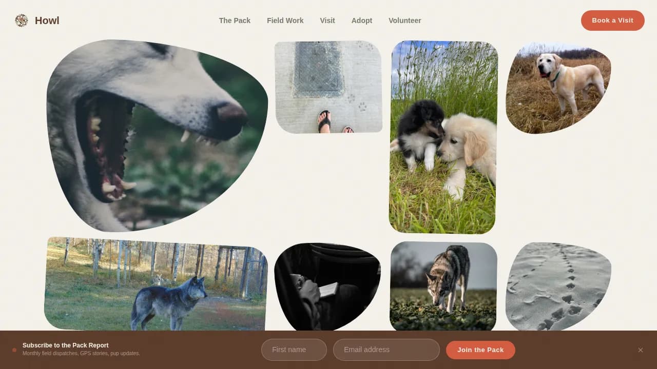 Wildlife & Conservation Professional Website Template