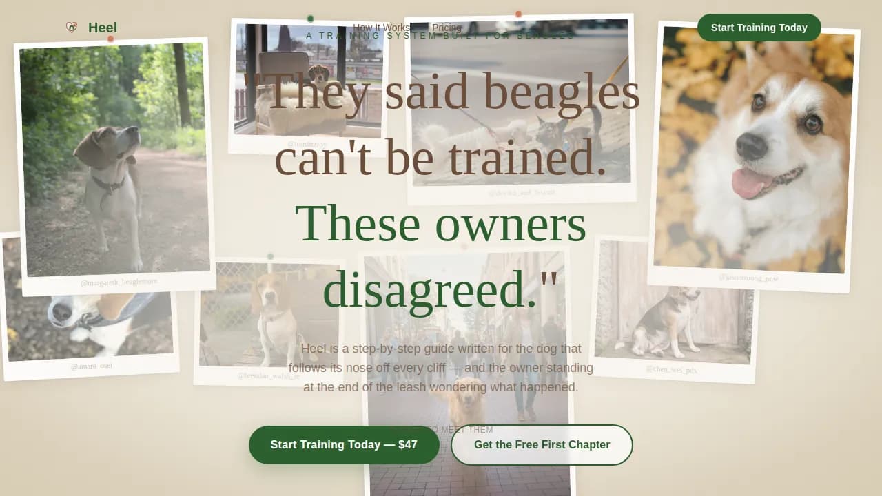 Dog Specialist Pricing Website Template