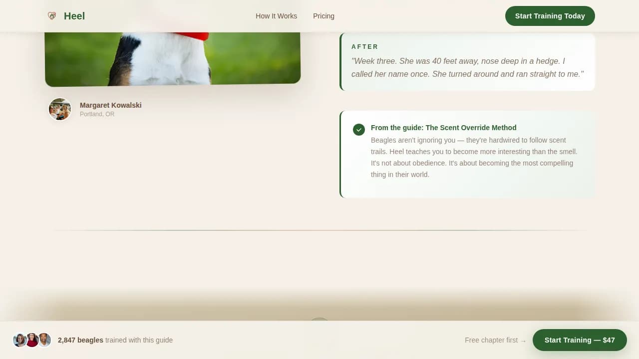 Dog Specialist Pricing Website Template