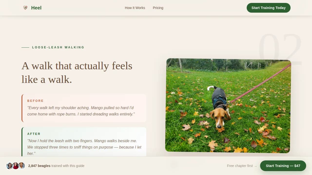 Dog Specialist Pricing Website Template
