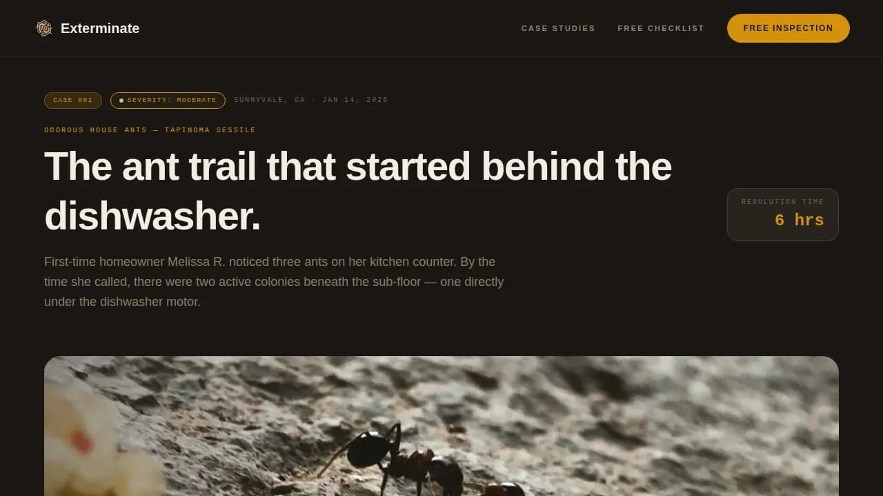 Residential Pest Control Website Template for Homeowners