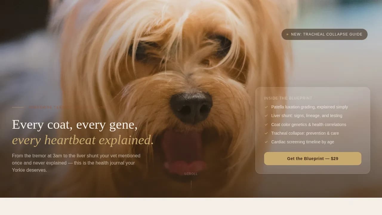 Yorkie — Genetics Health Blog Landing Page Template