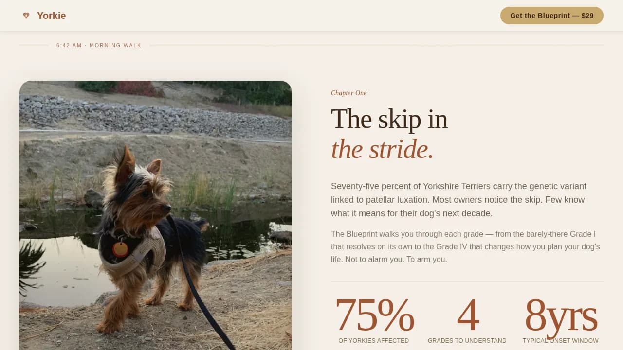 Yorkie — Genetics Health Blog Landing Page Template