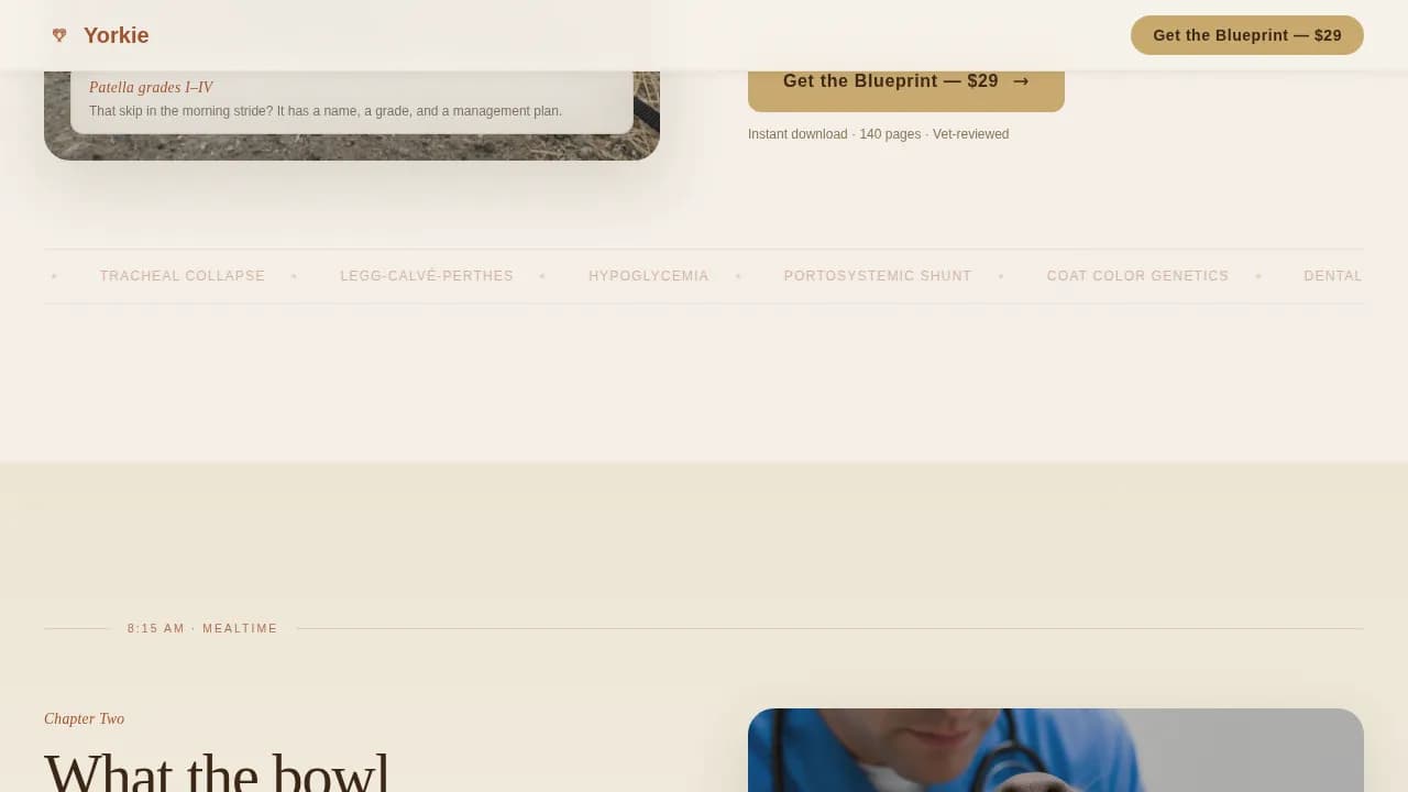 Yorkie — Genetics Health Blog Landing Page Template