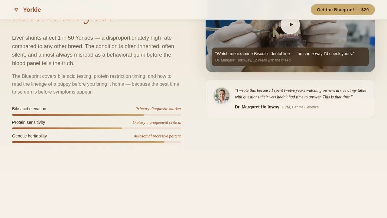 Yorkie — Genetics Health Blog Landing Page Template
