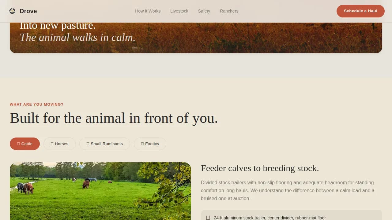 Drove Professional Website Template 2025x