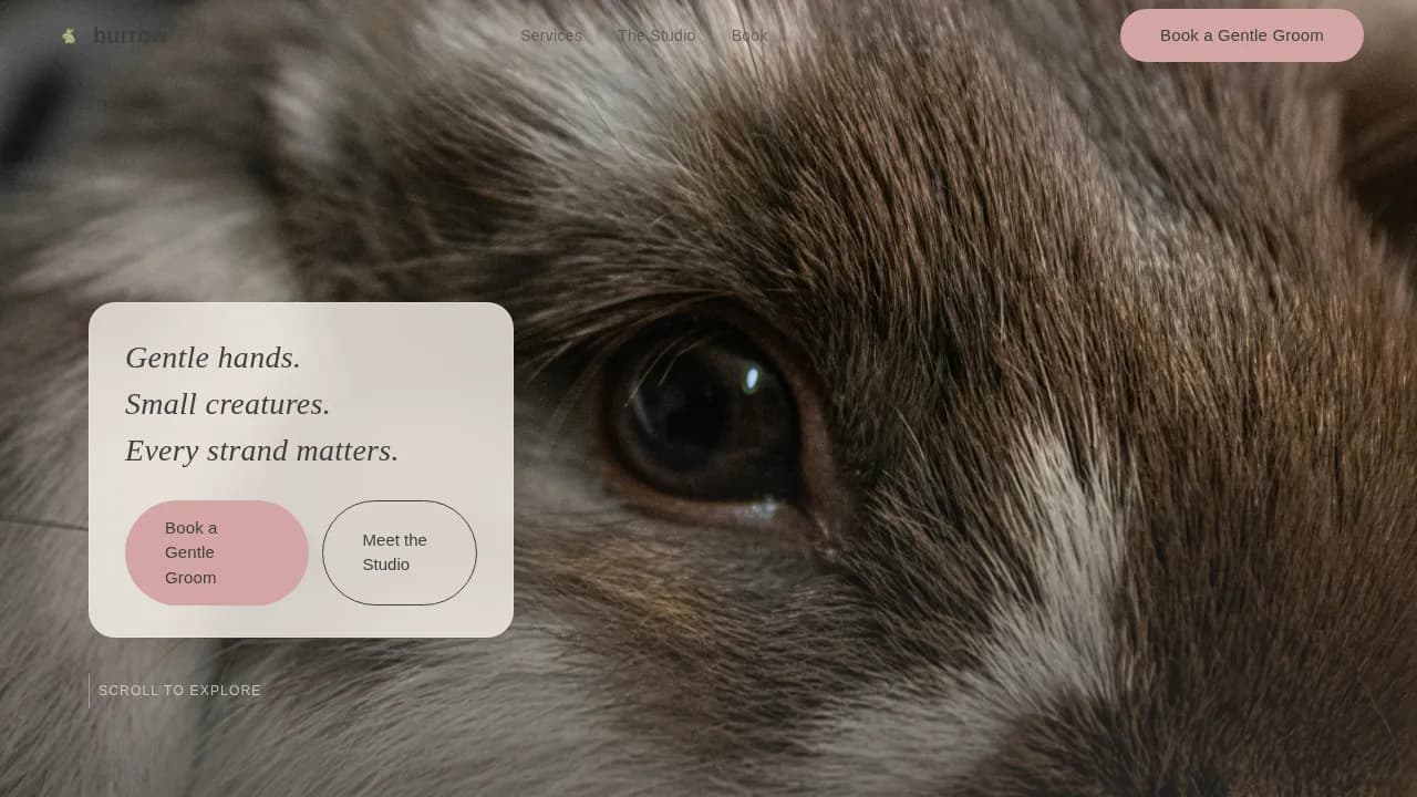 Burrow — Expert Small Animal Care Landing Page Template