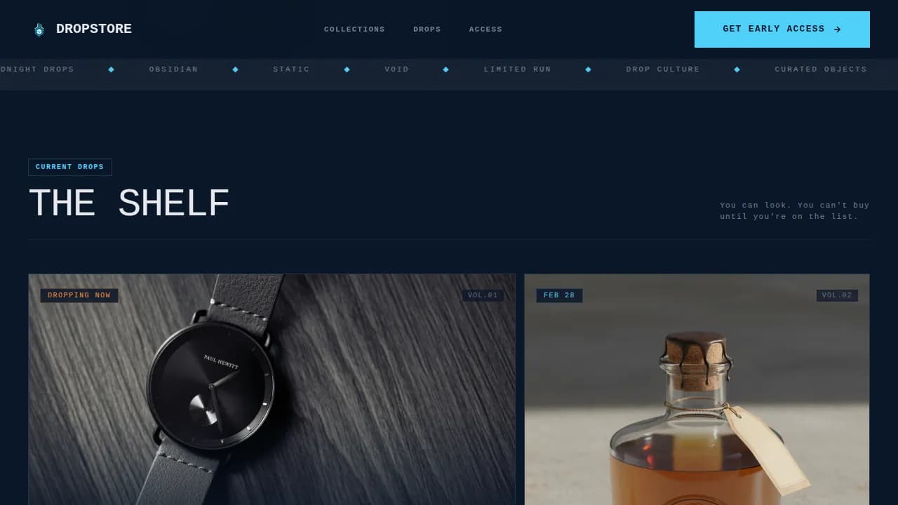 E-Commerce Digital Presence Professional Website Template