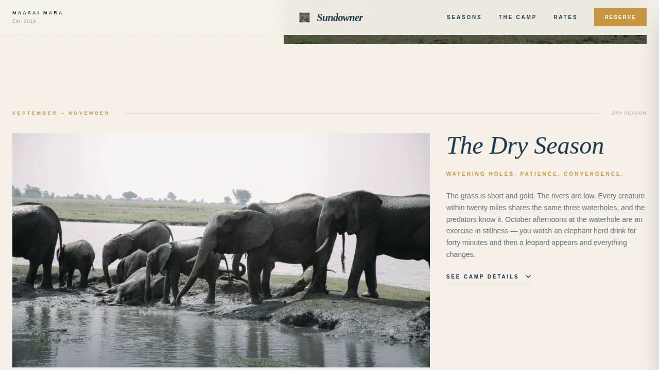 Ultra-Luxury Safari Camp Seasonal Photography Website Template