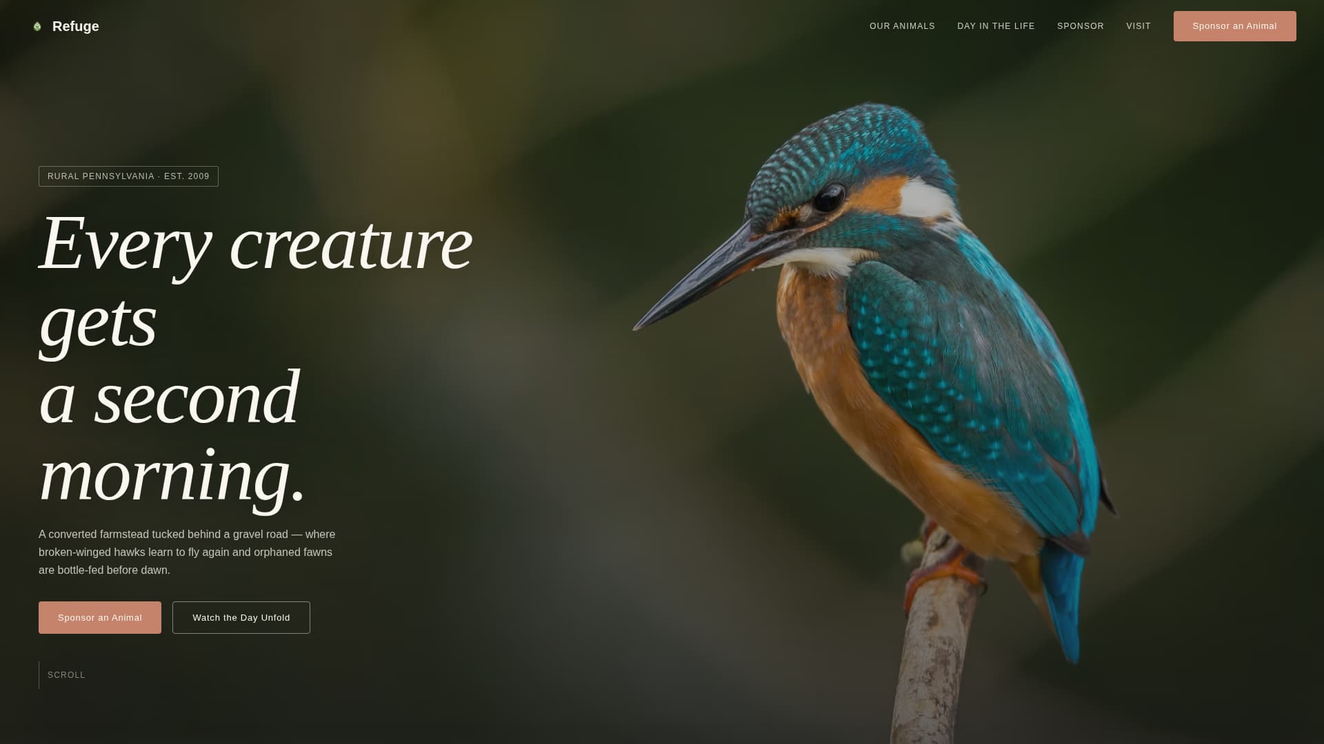 Pet Adoption & Rescue Professional Website Template
