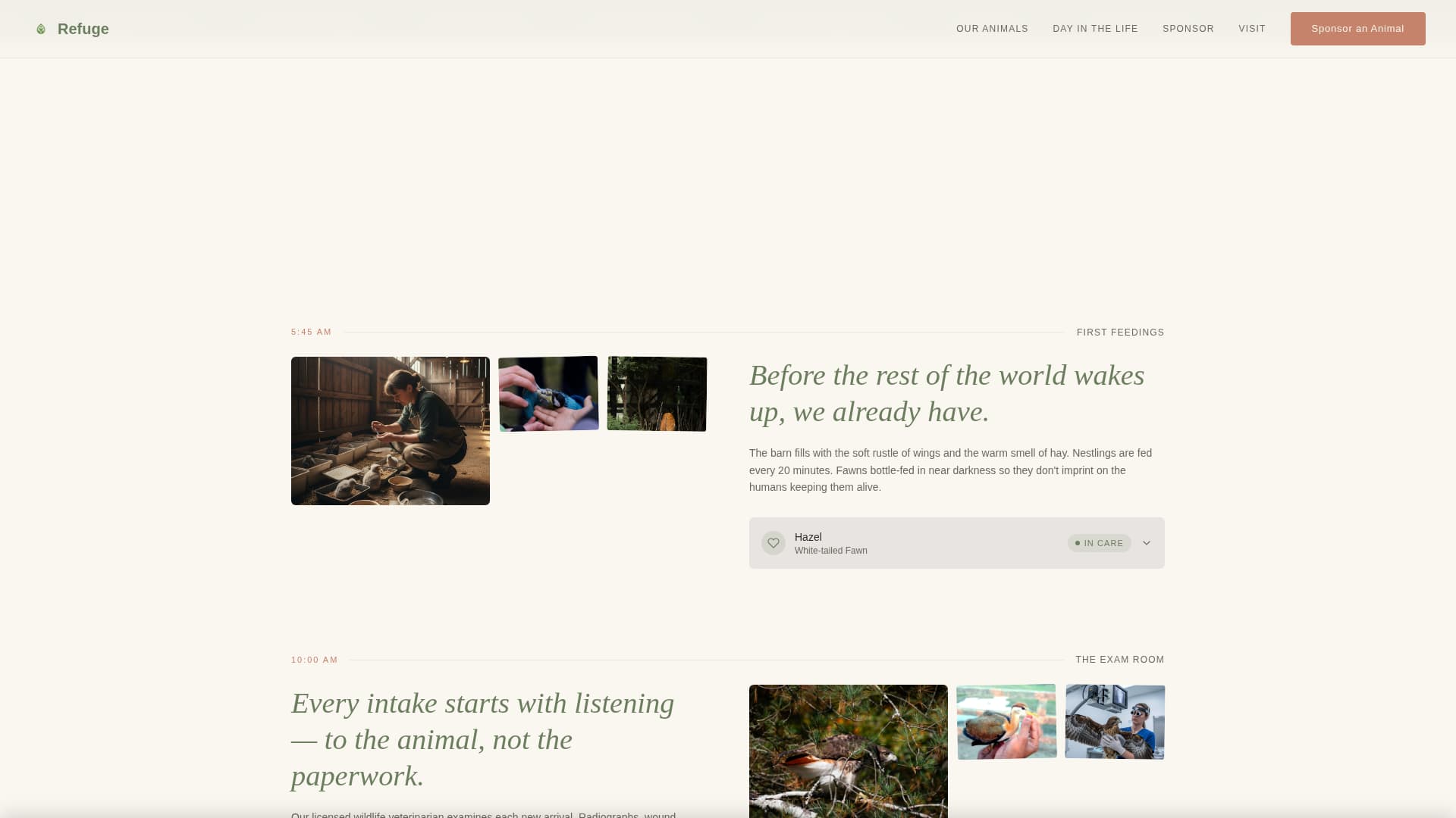 Pet Adoption & Rescue Professional Website Template