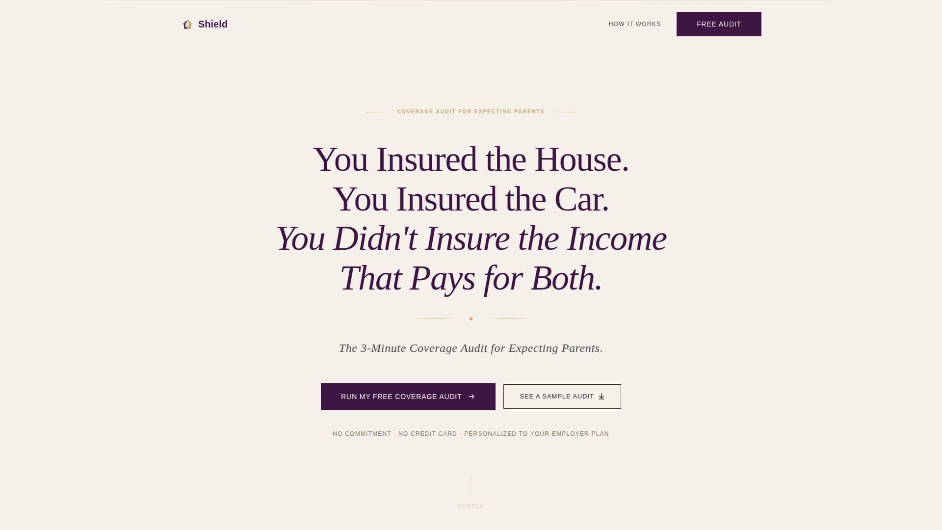 Shield - Executive Coverage Audit Landing Page Template