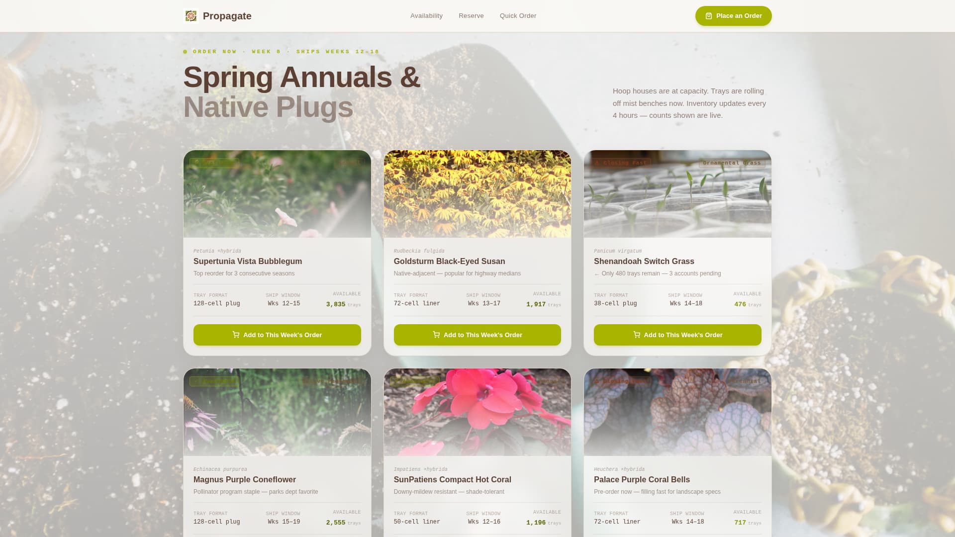 Nursery & Plant Farm Professional Website Template