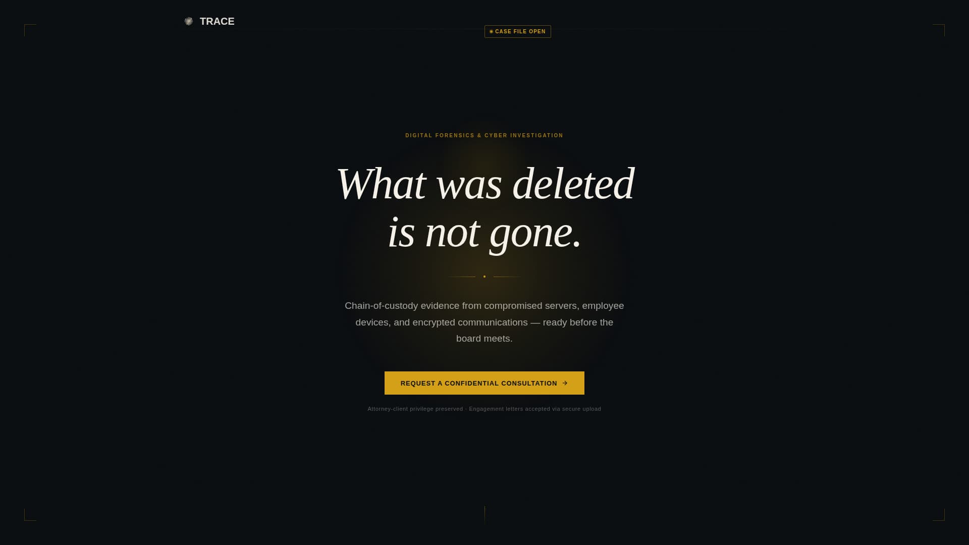 Private Investigation Professional Website Template
